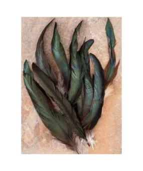 Austin Accents Tail Hat Feather